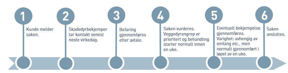 Illustrasjon av standard veggedyrsak