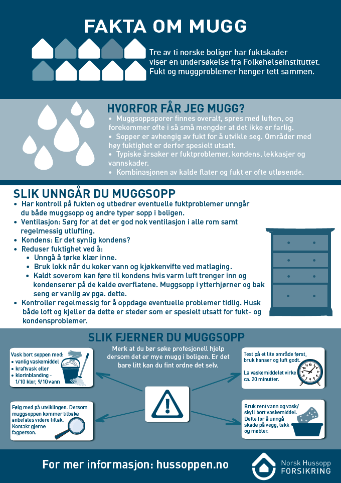 Bilde av fakta om muggplakat